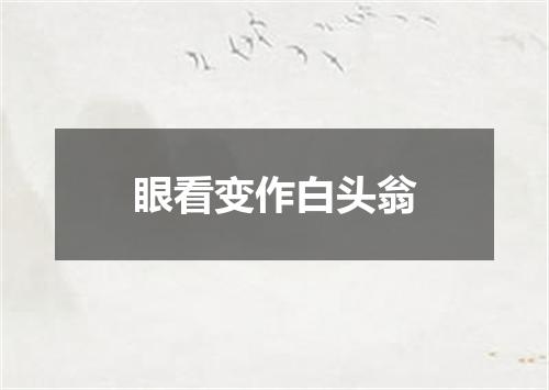 眼看变作白头翁