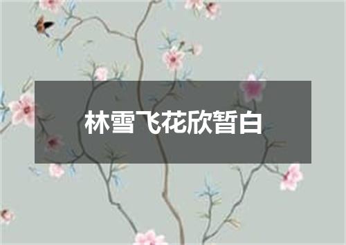 林雪飞花欣暂白