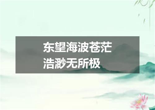 东望海波苍茫浩渺无所极