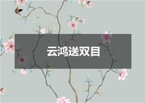 云鸿送双目