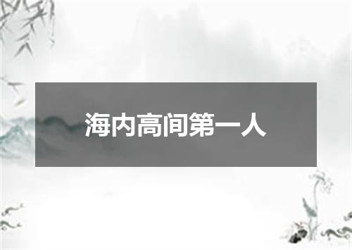 海内高间第一人