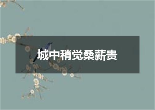城中稍觉桑薪贵