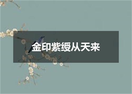 金印紫绶从天来