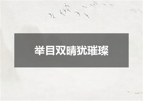 举目双晴犹璀璨