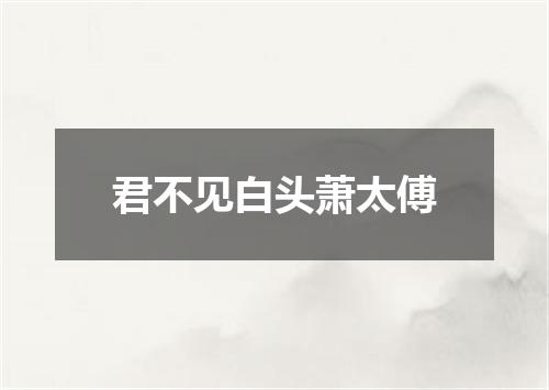 君不见白头萧太傅