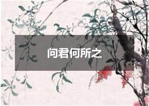 问君何所之
