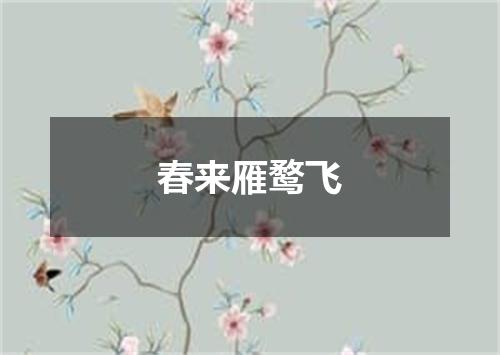 春来雁鹜飞