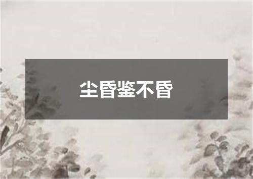 尘昏鉴不昏