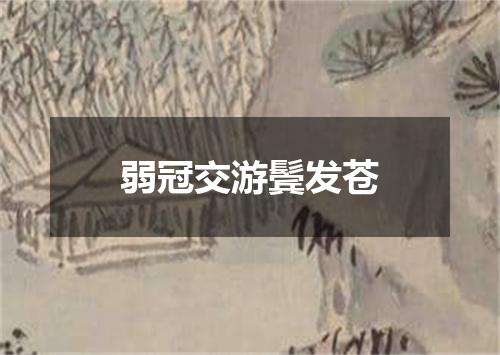 弱冠交游鬓发苍