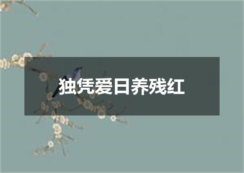 独凭爱日养残红