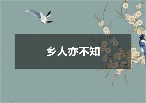 乡人亦不知