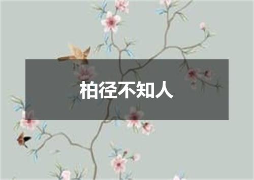 柏径不知人