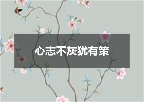 心志不灰犹有策