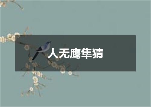 人无鹰隼猜