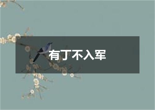 有丁不入军