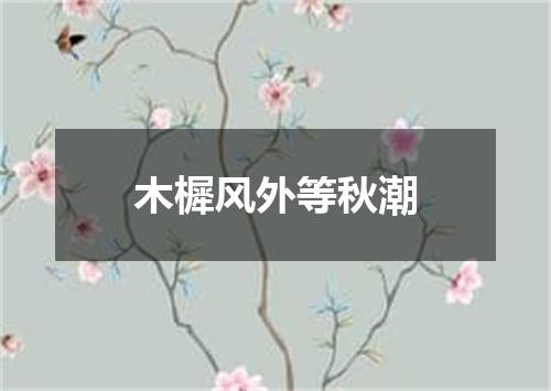 木樨风外等秋潮