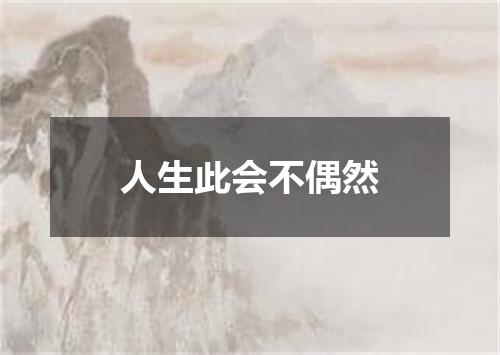 人生此会不偶然