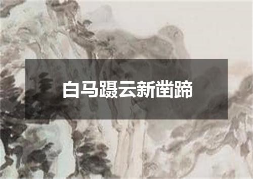 白马蹑云新凿蹄