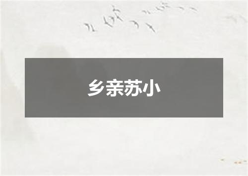 乡亲苏小
