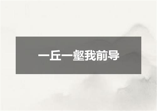 一丘一壑我前导