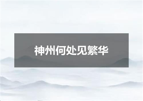 神州何处见繁华