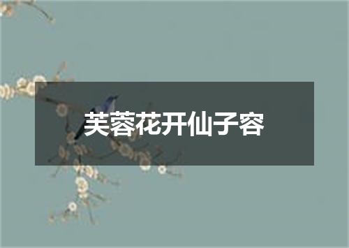 芙蓉花开仙子容