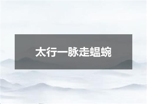 太行一脉走蝹蜿