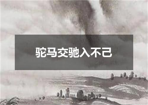驼马交驰入不己