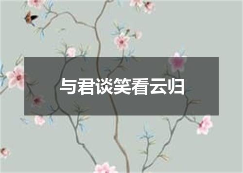 与君谈笑看云归