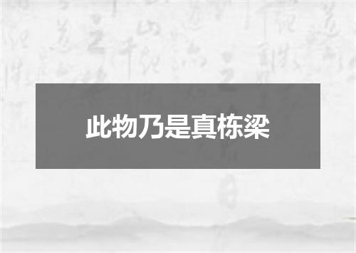 此物乃是真栋梁