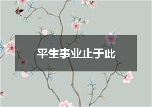 平生事业止于此