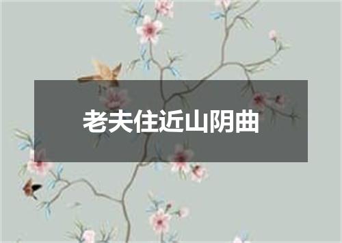 老夫住近山阴曲