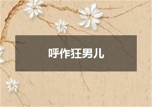 呼作狂男儿
