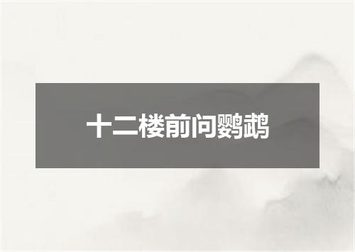 十二楼前问鹦鹉