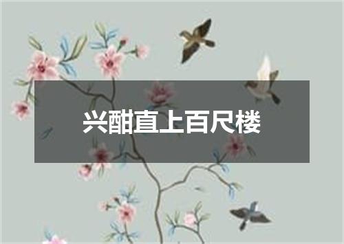 兴酣直上百尺楼