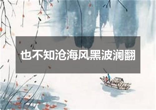 也不知沧海风黑波澜翻