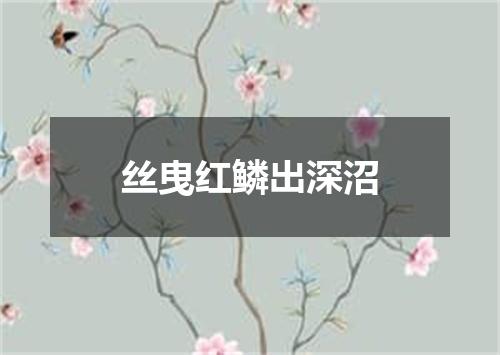 丝曳红鳞出深沼