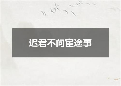 迟君不问宦途事