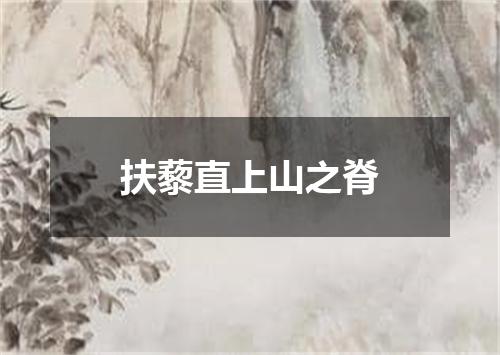 扶藜直上山之脊