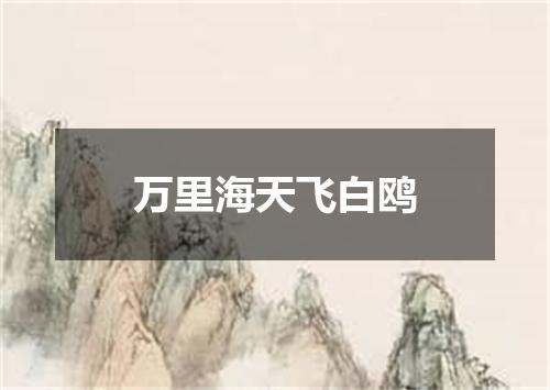 万里海天飞白鸥