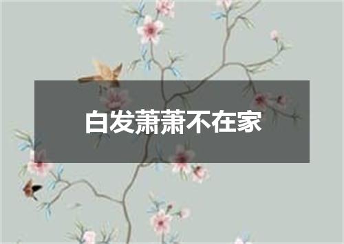 白发萧萧不在家