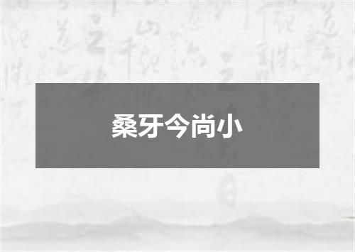 桑牙今尚小