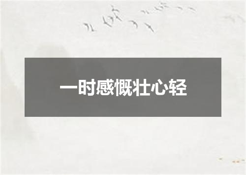 一时感慨壮心轻