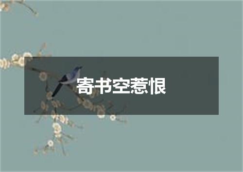 寄书空惹恨