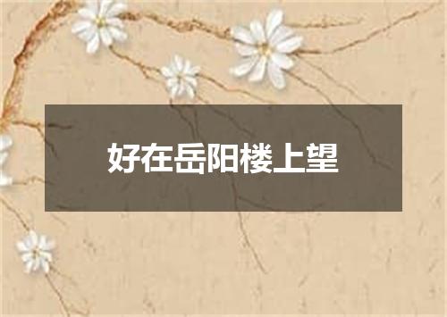 好在岳阳楼上望