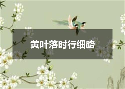 黄叶落时行细路