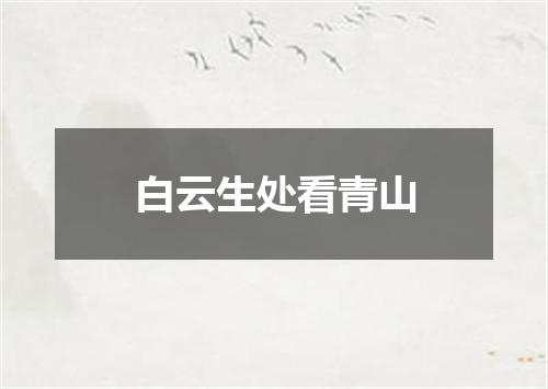 白云生处看青山
