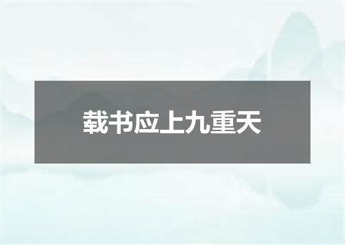 载书应上九重天