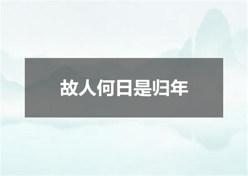 故人何日是归年