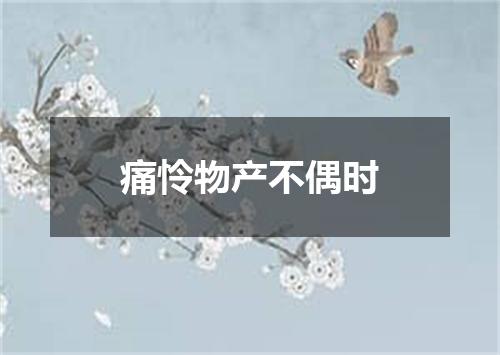 痛怜物产不偶时
